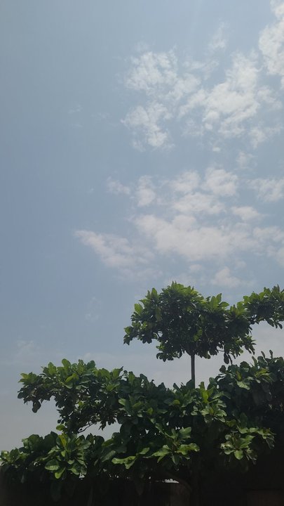 مشاركاتي في أنت الراصد