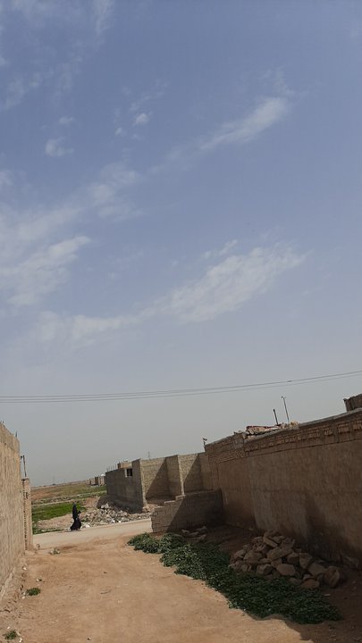 مشاركاتي في أنت الراصد