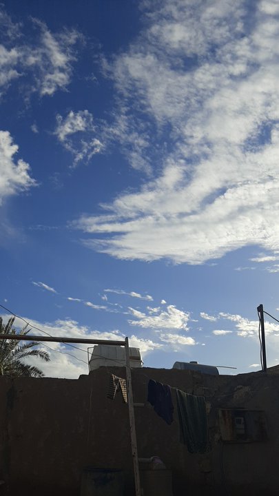 مشاركاتي في أنت الراصد