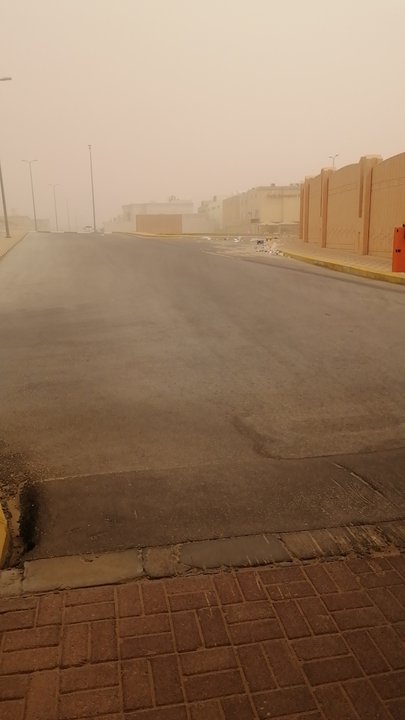 مشاركاتي في أنت الراصد