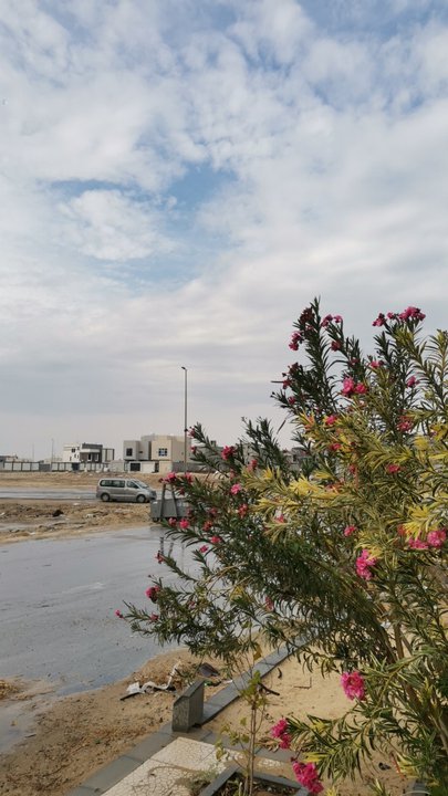 مشاركاتي في أنت الراصد