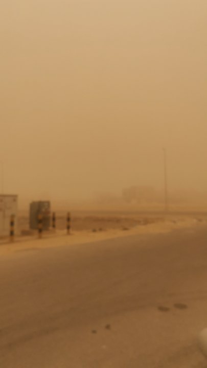 مشاركاتي في أنت الراصد