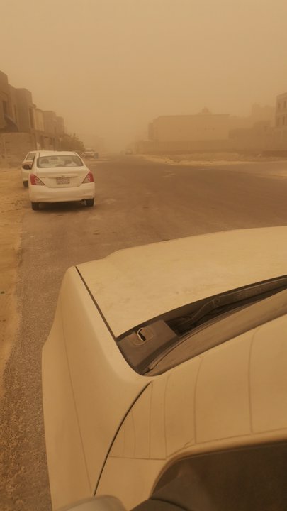 مشاركاتي في أنت الراصد