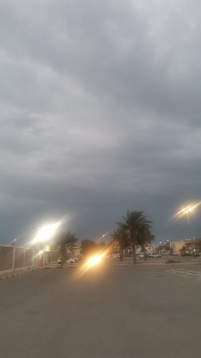 مشاركاتي في أنت الراصد