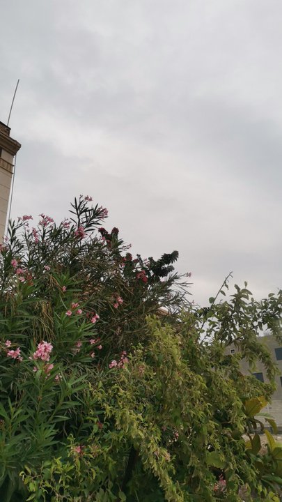 Mes publications Crowdsourcing