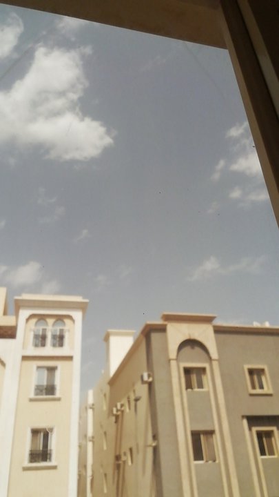 مشاركاتي في أنت الراصد