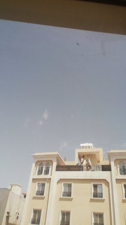 مشاركاتي في أنت الراصد