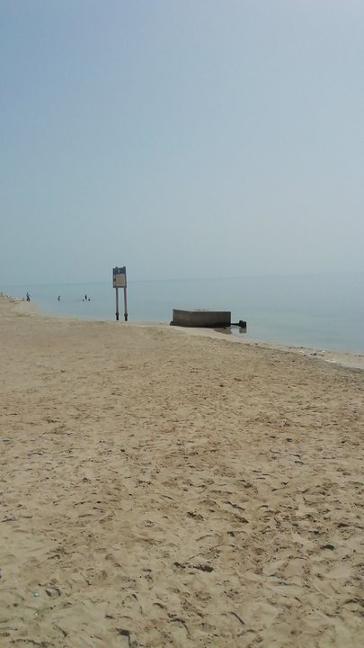 مشاركاتي في أنت الراصد