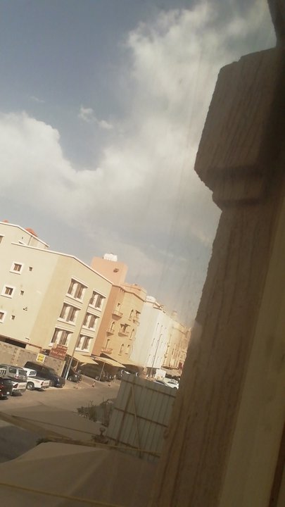 مشاركاتي في أنت الراصد