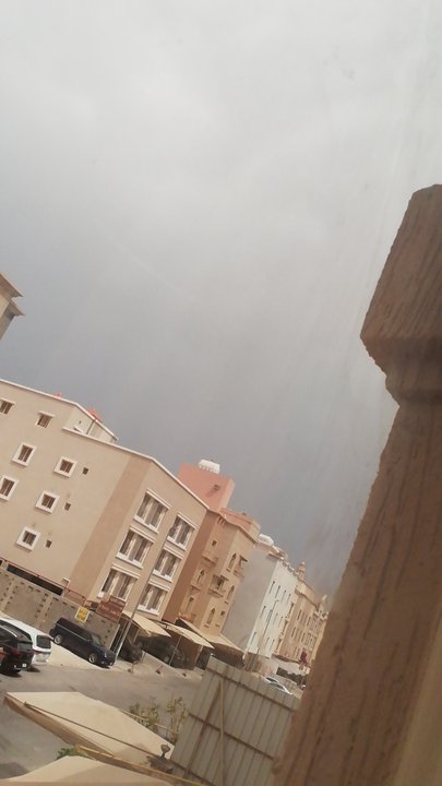 مشاركاتي في أنت الراصد