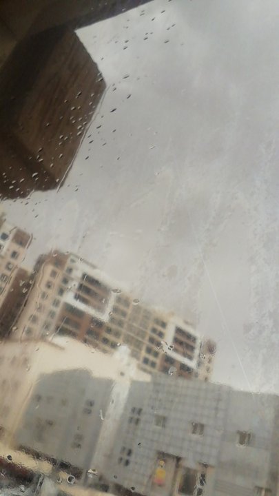 مشاركاتي في أنت الراصد