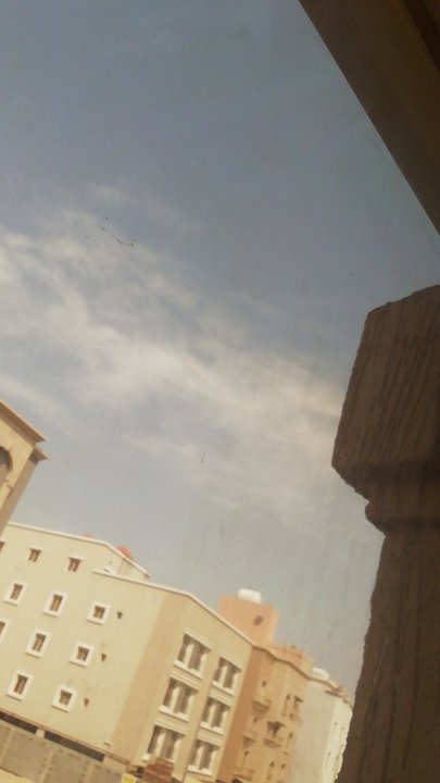 مشاركاتي في أنت الراصد