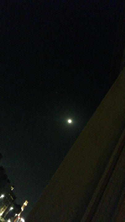 مشاركاتي في أنت الراصد