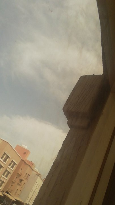 مشاركاتي في أنت الراصد