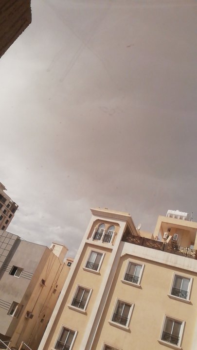 مشاركاتي في أنت الراصد