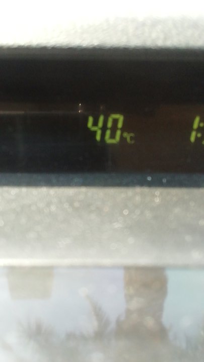 مشاركاتي في أنت الراصد