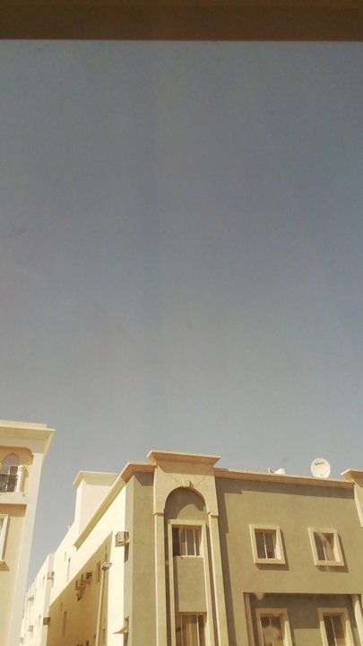 مشاركاتي في أنت الراصد