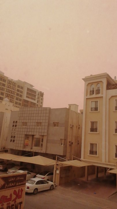 مشاركاتي في أنت الراصد