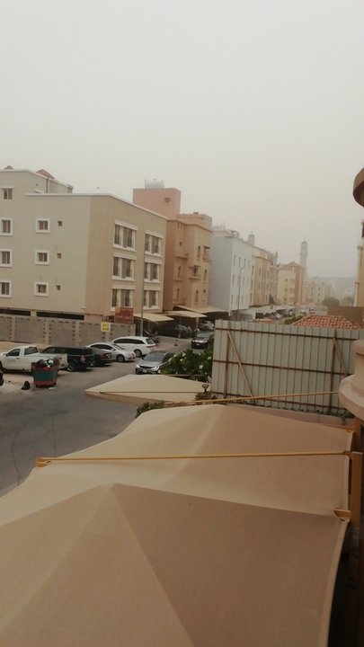 مشاركاتي في أنت الراصد