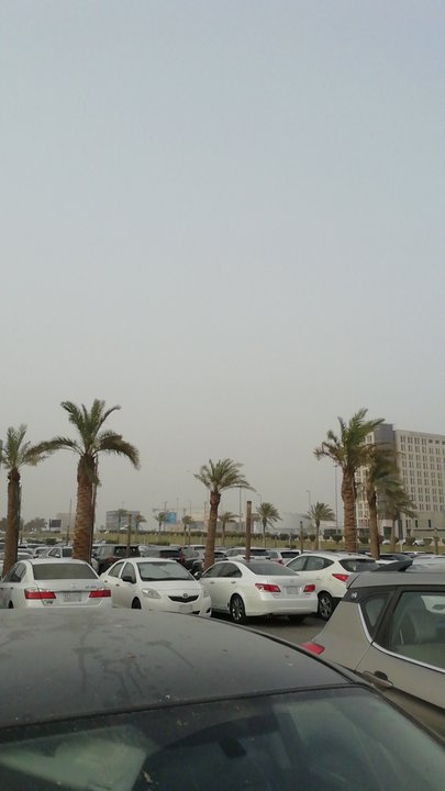 مشاركاتي في أنت الراصد