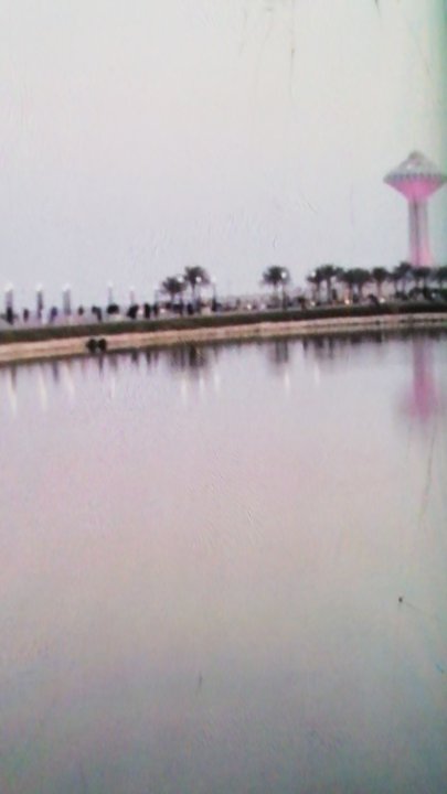 مشاركاتي في أنت الراصد