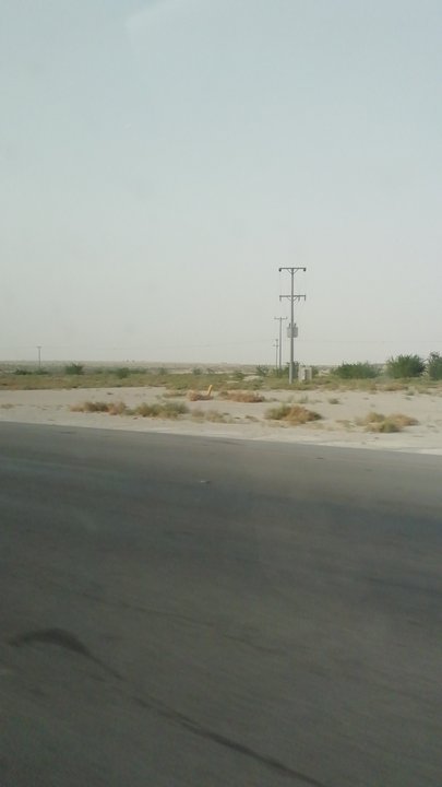 مشاركاتي في أنت الراصد