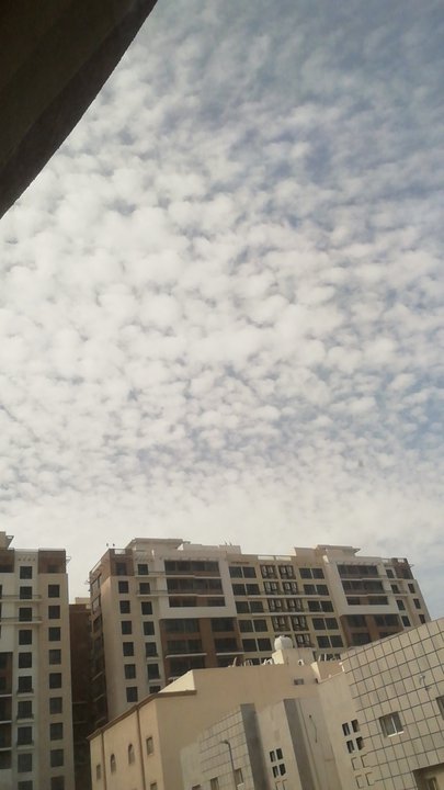 مشاركاتي في أنت الراصد