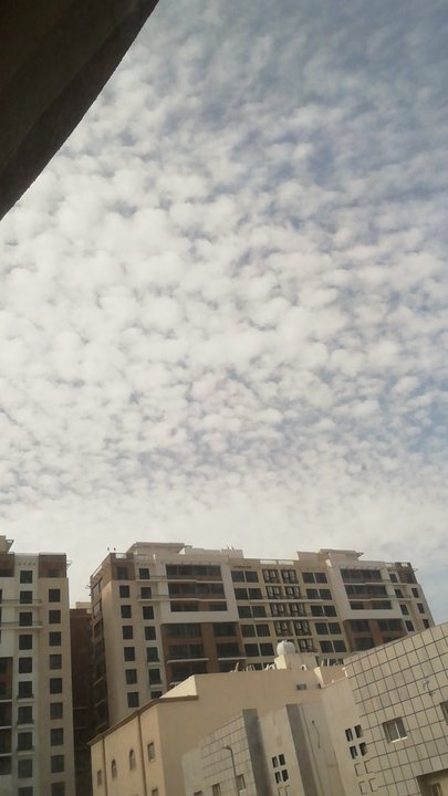 مشاركاتي في أنت الراصد