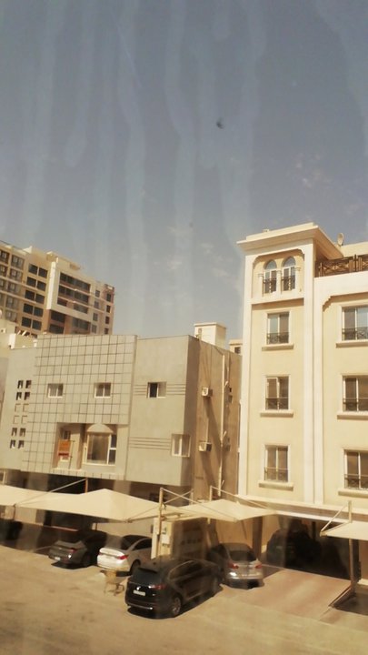 مشاركاتي في أنت الراصد