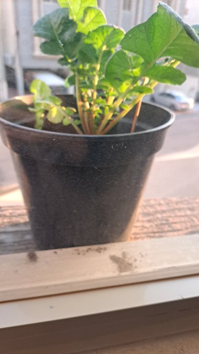 My Crowdsourcing Posts