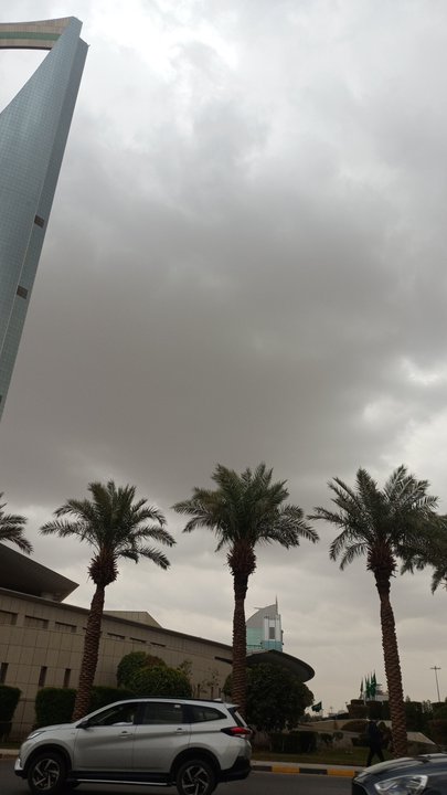 مشاركاتي في أنت الراصد