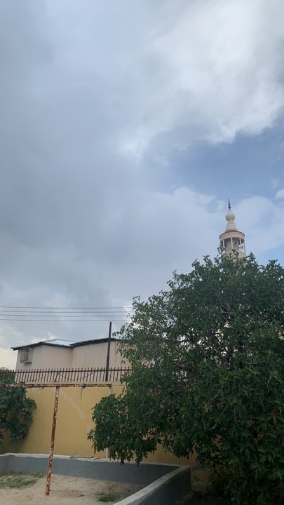 مشاركاتي في أنت الراصد