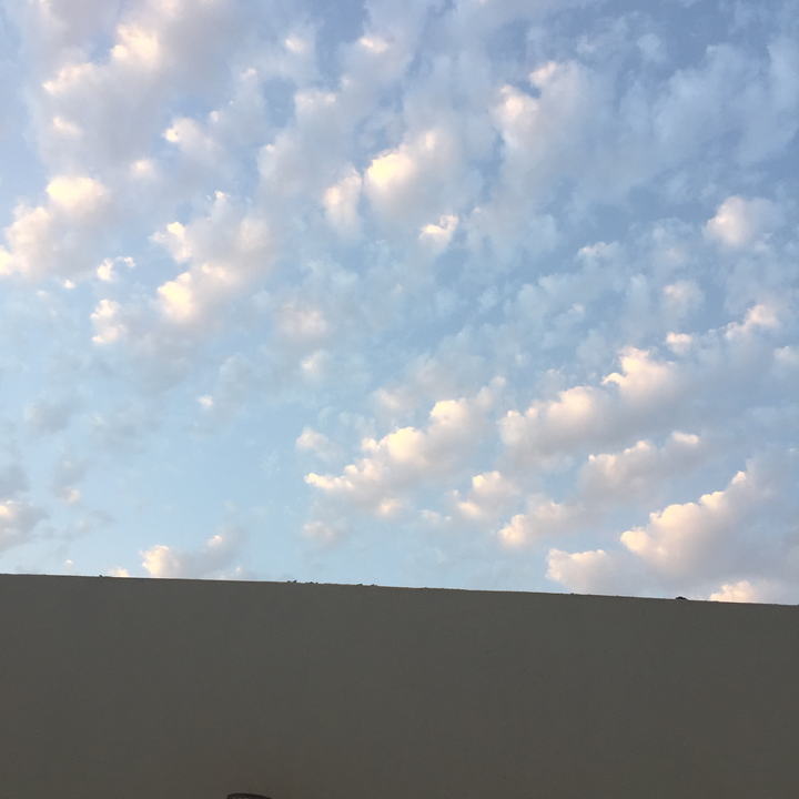 مشاركاتي في أنت الراصد