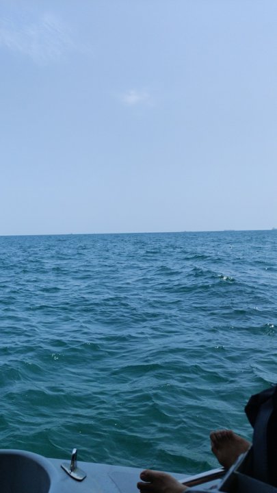 مشاركاتي في أنت الراصد