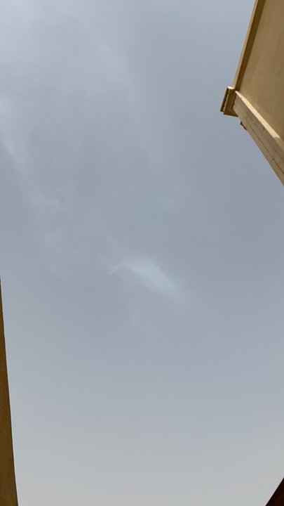 مشاركاتي في أنت الراصد