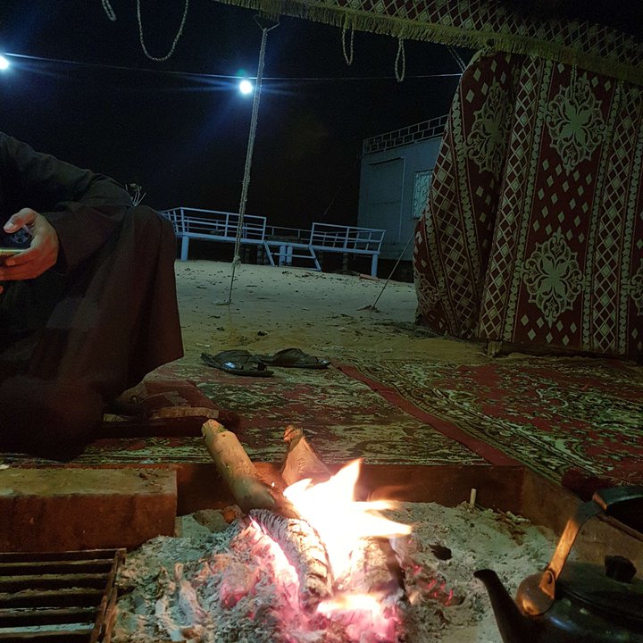 مشاركاتي في أنت الراصد