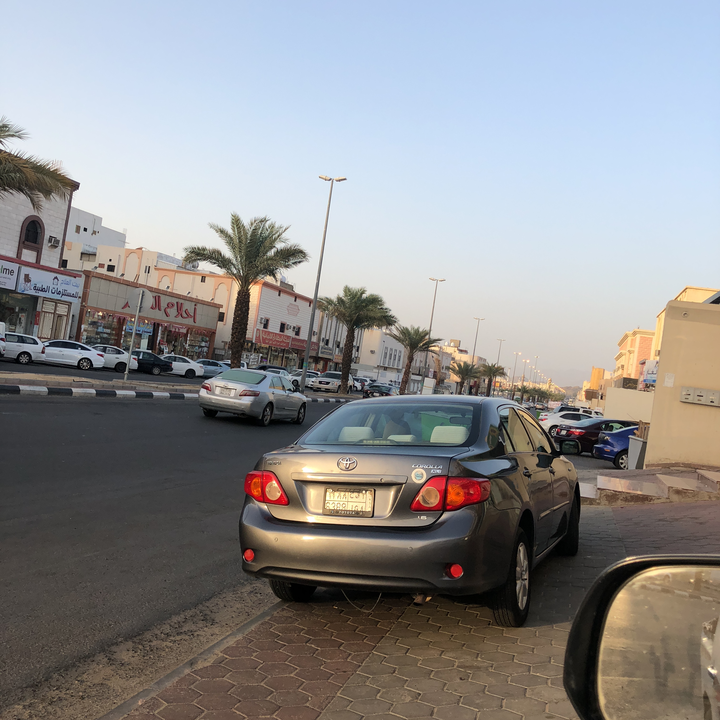 مشاركاتي في أنت الراصد