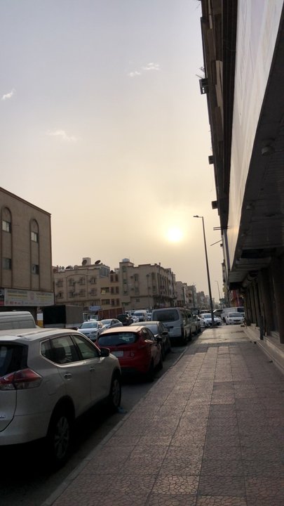 مشاركاتي في أنت الراصد