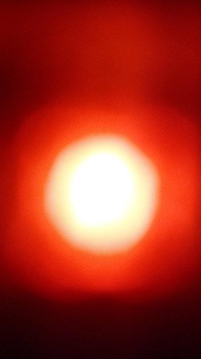 مشاركاتي في أنت الراصد