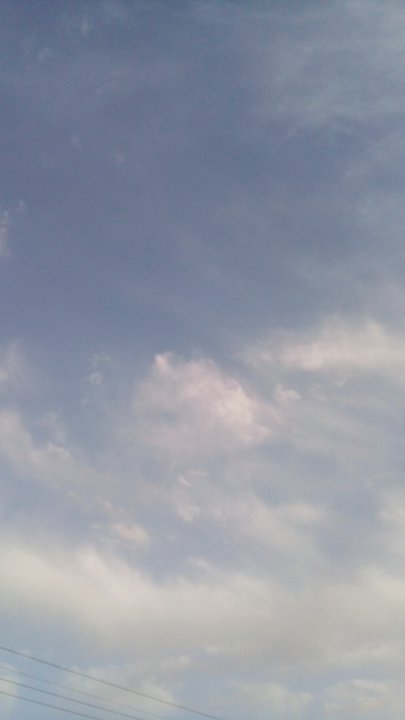 مشاركاتي في أنت الراصد