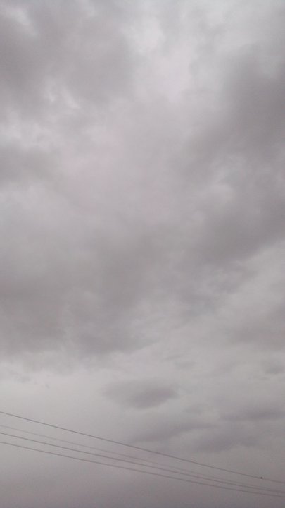 مشاركاتي في أنت الراصد