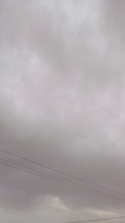 مشاركاتي في أنت الراصد