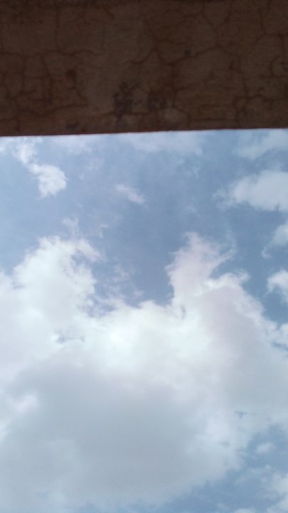 مشاركاتي في أنت الراصد