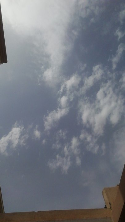 مشاركاتي في أنت الراصد