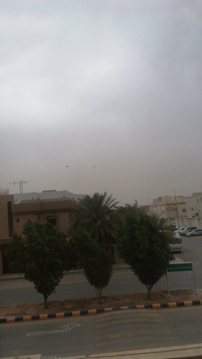 مشاركاتي في أنت الراصد