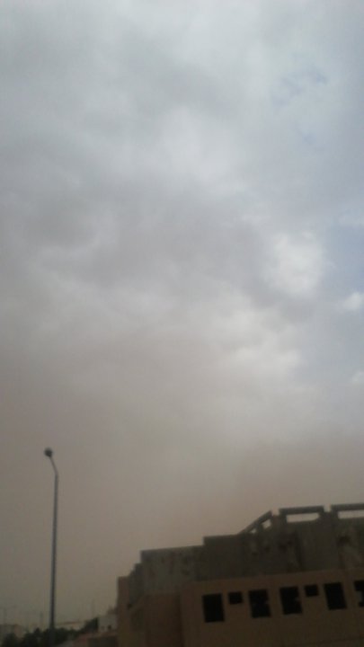 مشاركاتي في أنت الراصد