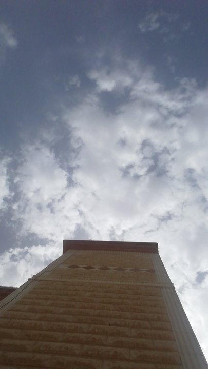 مشاركاتي في أنت الراصد