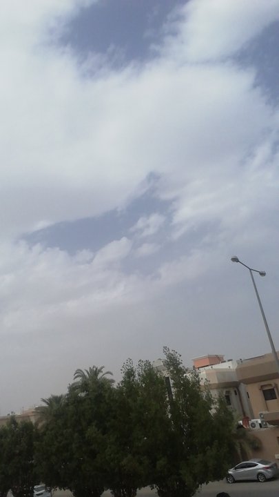 مشاركاتي في أنت الراصد