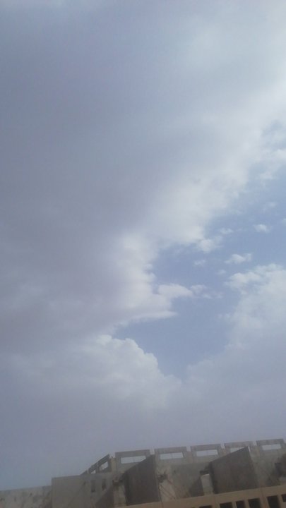 مشاركاتي في أنت الراصد