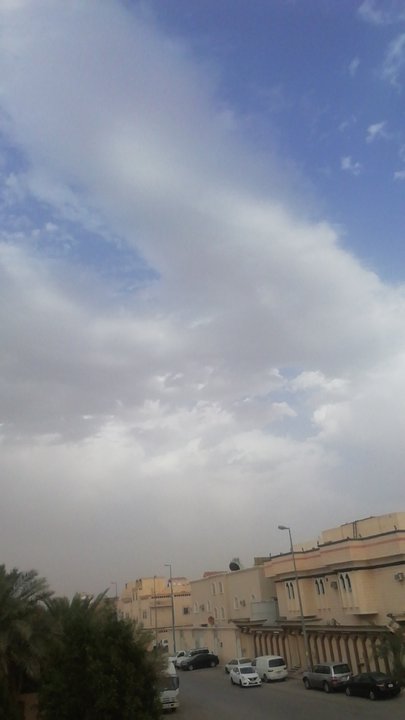 مشاركاتي في أنت الراصد